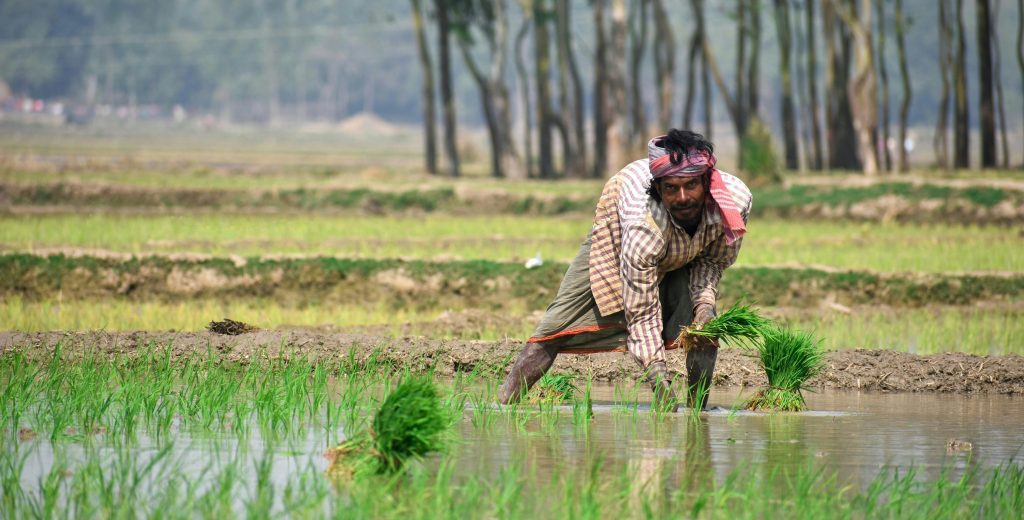 Indian Farmers